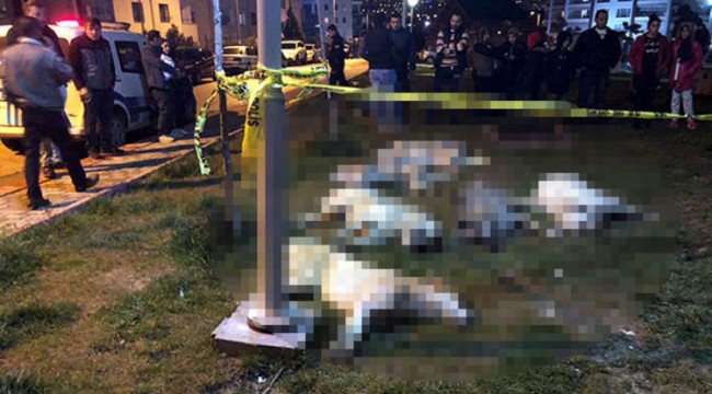 Ankara'daki köpek katliamında istenen cezalar belli oldu