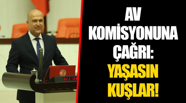 AV KOMİSYONUNA ÇAĞRI: YAŞASIN KUŞLAR!