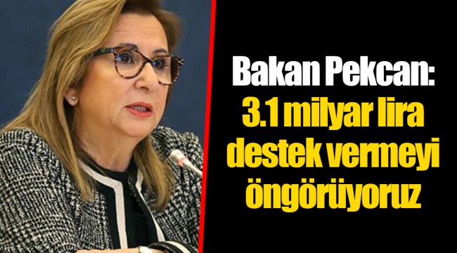 Bakan Pekcan: 3.1 milyar lira destek vermeyi öngörüyoruz