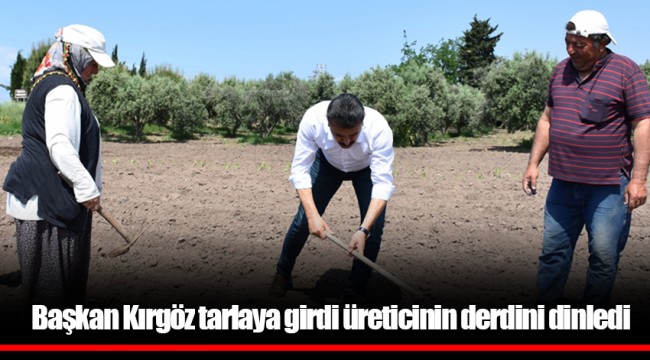 Başkan Kırgöz tarlaya girdi üreticinin derdini dinledi