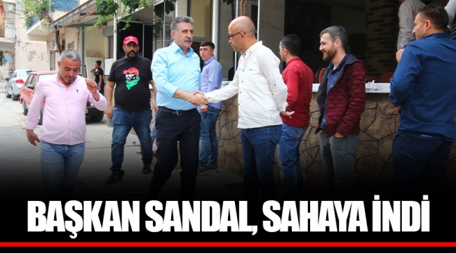 BAŞKAN SANDAL, SAHAYA İNDİ