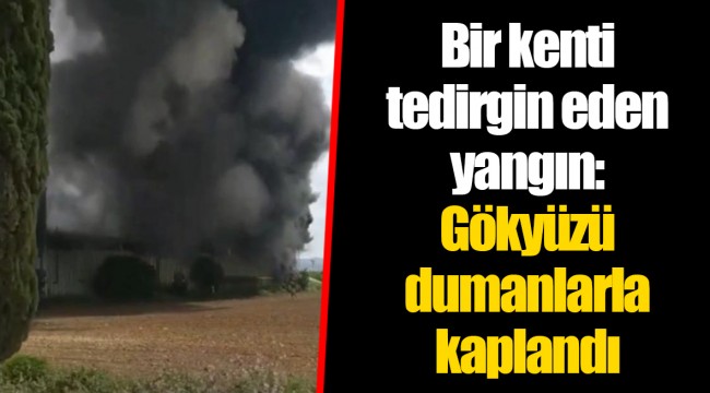 Bir kenti tedirgin eden yangın: Gökyüzü dumanlarla kaplandı