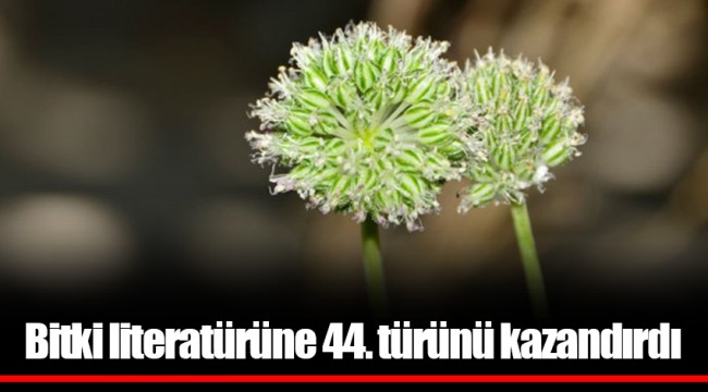 Bitki literatürüne 44. türünü kazandırdı