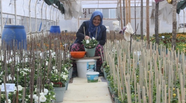 Bu köyün annelerinin yetiştirdiği çiçek tohumları para basıyor, dünyaya ihraç oluyor