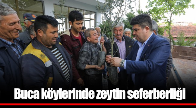 Buca köylerinde zeytin seferberliği