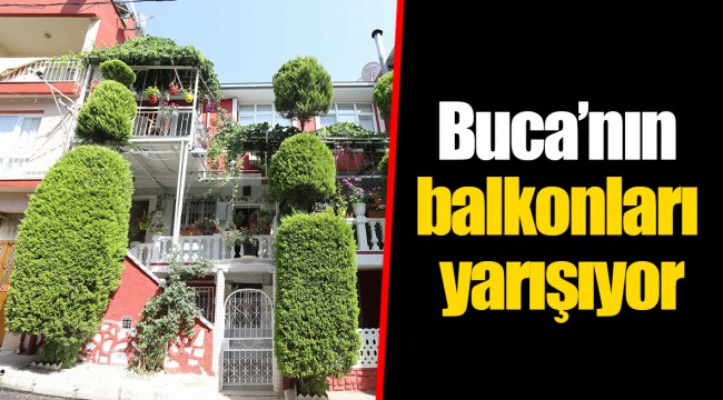 Buca’nın balkonları yarışıyor