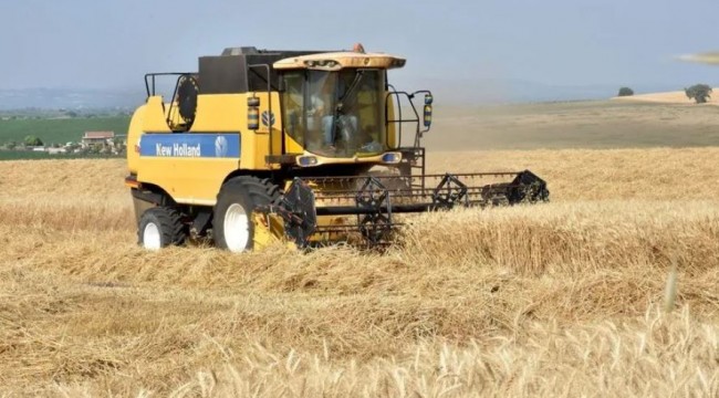 Buğdayda rekolte beklentisi en az 20 milyon ton