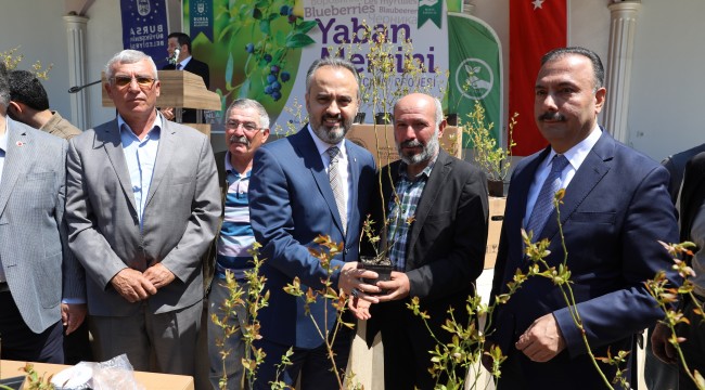 Çiftçi yaban mersini ile kalkınıyor
