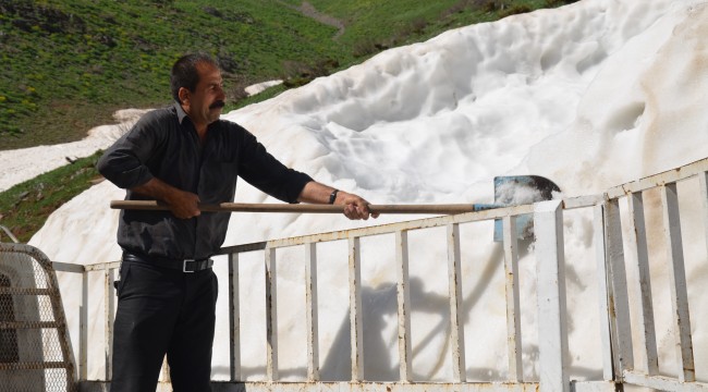Dağlardan topladıkları karları ilçede sattılar
