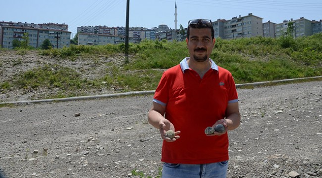 Dinozorlar çağından kalma deniz canlılarına ait fosiller bulundu