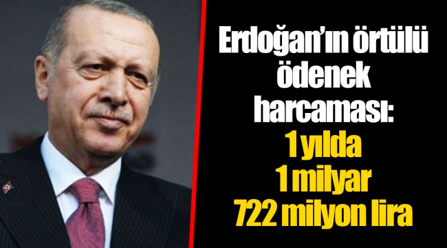 Erdoğan’ın örtülü ödenek harcaması: 1 yılda 1 milyar 722 milyon lira