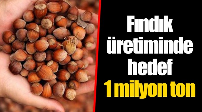 Fındık üretiminde hedef 1 milyon ton