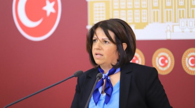 HDP'li Kurtulan: Kürtlerin tavrı iktidara göre değişiklik arz etmez