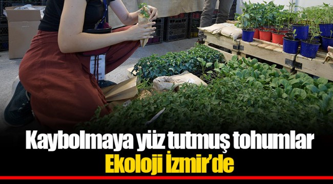 Kaybolmaya yüz tutmuş tohumlar Ekoloji İzmir’de