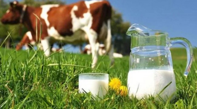 Mart ayı süt ve süt ürünleri üretimi istatistikleri açıklandı