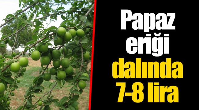 Papaz eriği dalında 7-8 lira