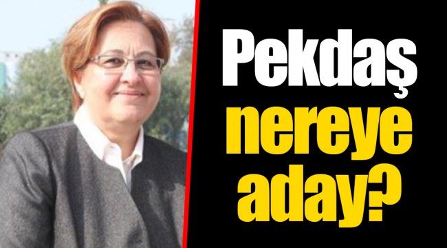 Pekdaş nereye aday?