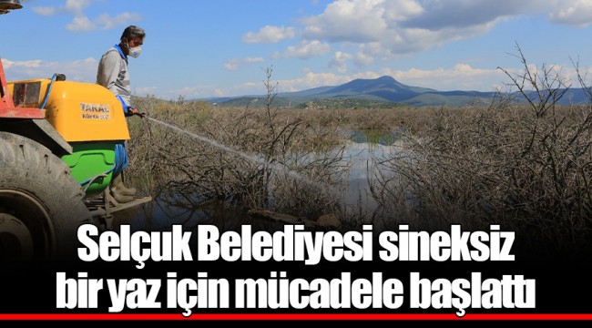 Selçuk Belediyesi sineksiz bir yaz için mücadele başlattı