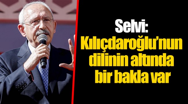 Selvi: Kılıçdaroğlu’nun dilinin altında bir bakla var