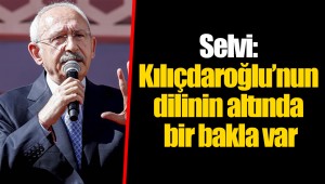 Selvi: Kılıçdaroğlu’nun dilinin altında bir bakla var