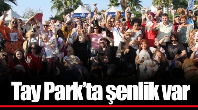 Tay Park’ta şenlik var