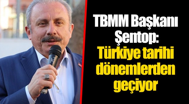 TBMM Başkanı Şentop: Türkiye tarihi dönemlerden geçiyor