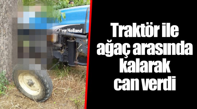 Traktör ile ağaç arasında kalarak can verdi