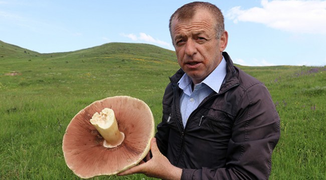 25 yıldır böylesi görülmemişti