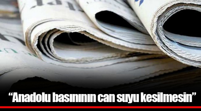 “Anadolu basınının can suyu kesilmesin”
