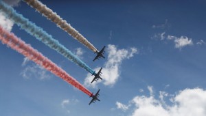 Kar Baykusu Wallpaper