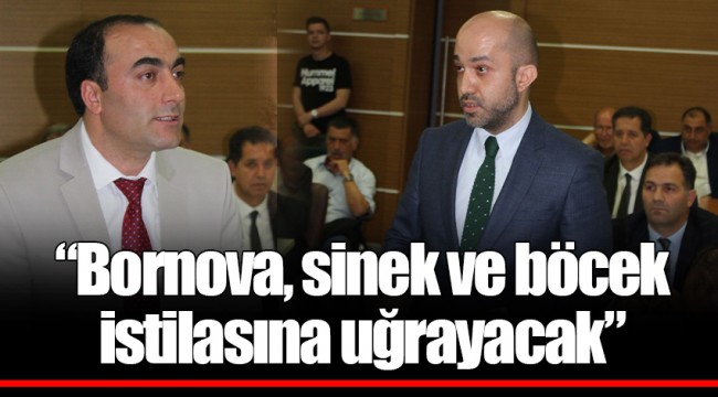 “Bornova, sinek ve böcek istilasına uğrayacak”