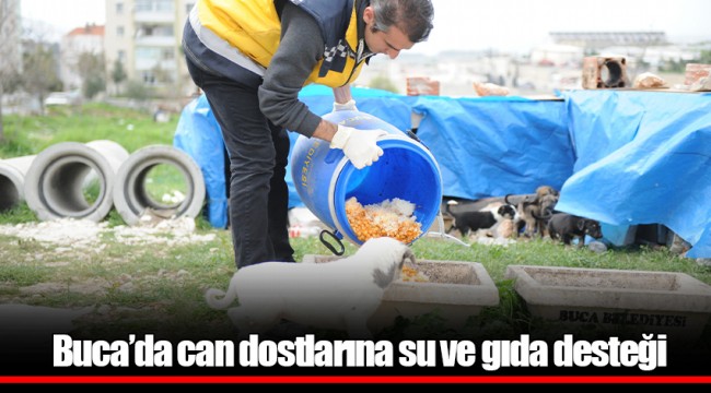 Buca’da can dostlarına su ve gıda desteği