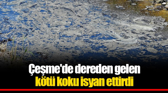 Çeşme'de dereden gelen kötü koku isyan ettirdi