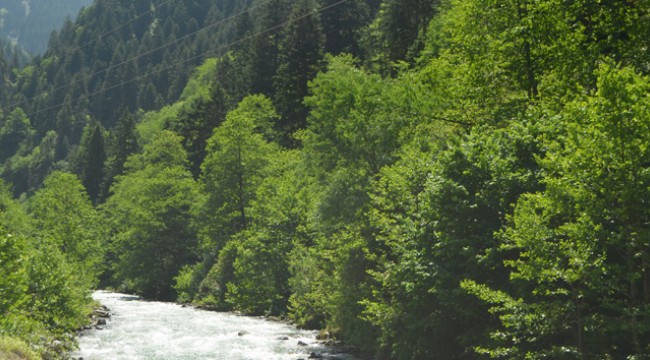 Dikkat! Uzungöl'de olta ile balık tutarken ölebilirsiniz...
