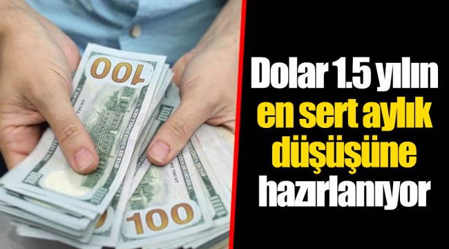 Dolar 1.5 yılın en sert aylık düşüşüne hazırlanıyor