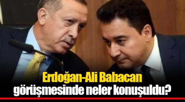 Erdoğan-Ali Babacan görüşmesinde neler konuşuldu?