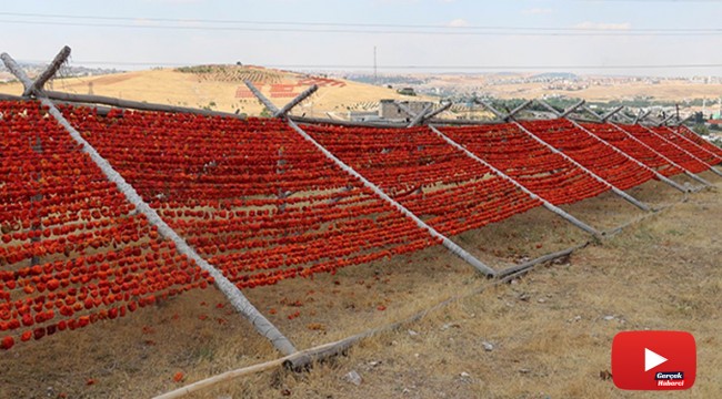 Gastronomi kenti Gaziantep kırmızıya boyandı