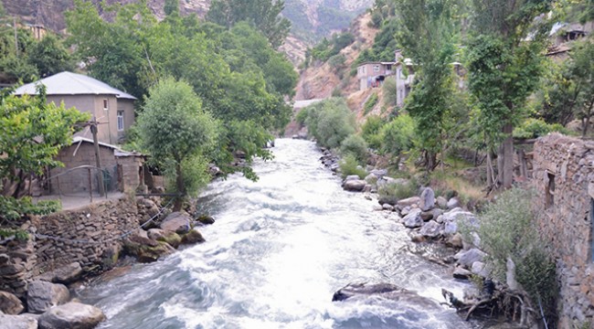 Habur Çayı'na düşen çocuğu kurtarmak isterken boğuldu