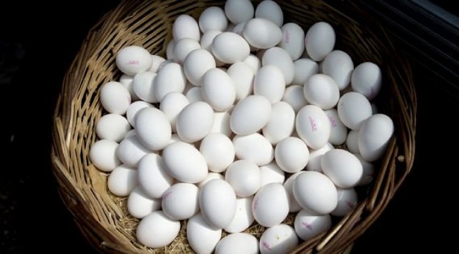 Irak'ın ithalatı durdurması yumurta fiyatını düşürdü