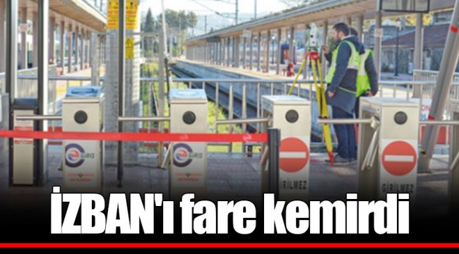 İZBAN'ı fare kemirdi