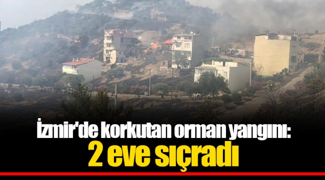 İzmir'de korkutan orman yangını: 2 eve sıçradı