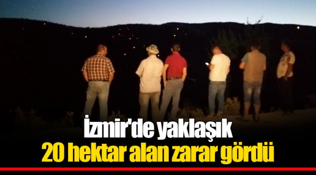 İzmir'de yaklaşık 20 hektar alan zarar gördü