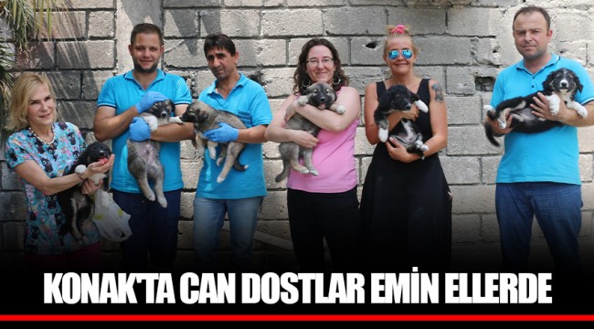KONAK'TA CAN DOSTLAR EMİN ELLERDE
