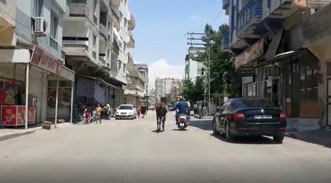 Motosiklet arkasında, atı kilometrelerce koşturdu