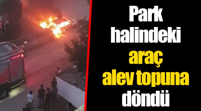 Park halindeki araç alev topuna döndü