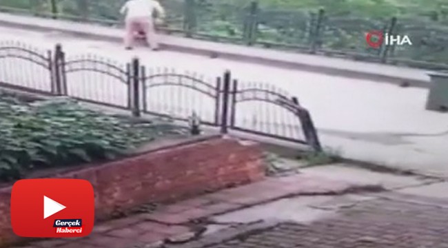 Rize'de köpek yavrusunu dereye atan temizlik işçisine soruşturma