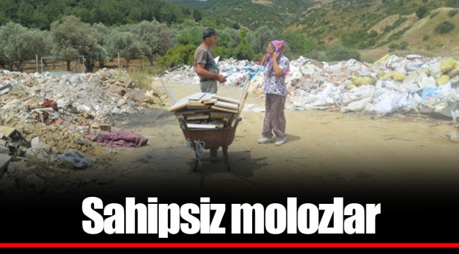 Sahipsiz molozlar