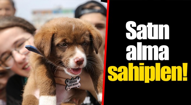 Satın alma sahiplen!