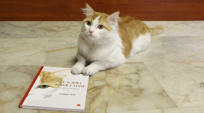 Savaştan kurtarılan ‘Barış’ kedinin hikâyesi kitap oldu