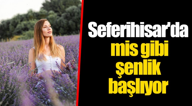 Seferihisar'da mis gibi şenlik başlıyor